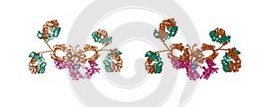 Solution structure of human secretory IgA1