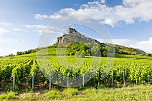 Solutre Rock with vineyards, Burgundy, France