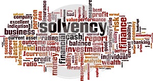 Solvency word cloud