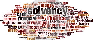 Solvency word cloud