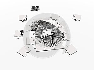 Solving fingerprint puzzle