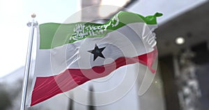 Somaliland 3D Flag Animation fly in the wind