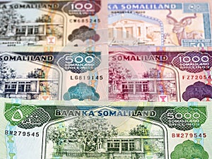 Somaliland shilling a business background