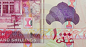 1000 Somaliland Shillings banknote, Bank of Somaliland, closeup bill fragment shows Signature of Abdi Mohamoud Gullet photo