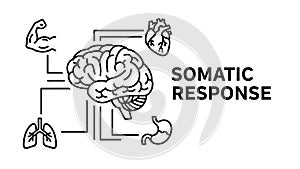 Somatic Response
