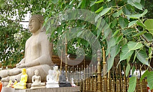 The Somawathiya Samadhi statue Polonnaruwa, Sri Lanka.