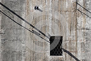 Sombras y ventana en muro de cemento photo