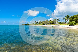 Sombrero Beach with palm trees on the Florida Keys, Marathon, Florida, USA. Tropical and paradise destination for vacation