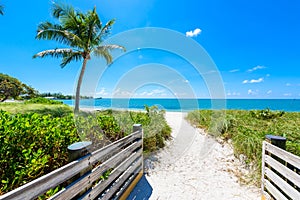 Sombrero Beach with palm trees on the Florida Keys, Marathon, Florida, USA. Tropical and paradise destination for vacation