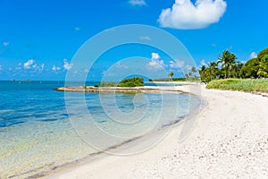 Sombrero Beach with palm trees on the Florida Keys, Marathon, Florida, USA. Tropical and paradise destination for vacation