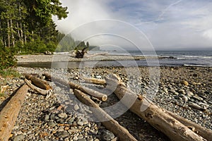 Sombrio Beach Waterfront Juan De Fuca Marine Hiking Trail Pacific Northwest Vancouver Island Canada photo