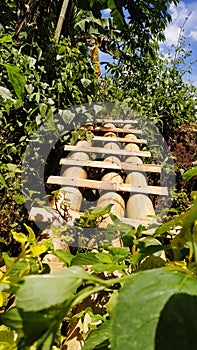 Some bamboo slats used as traditional bridges