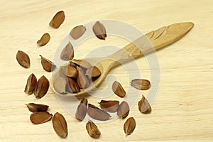 Some beech nuts in a wooden spoon