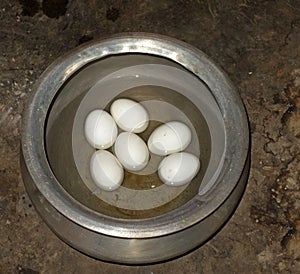 Some boiled poultry eggs kept on a aluminum pan close up.