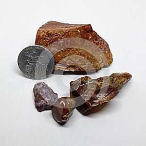 Some Brown stone Fosil wooden stone. Gems stone