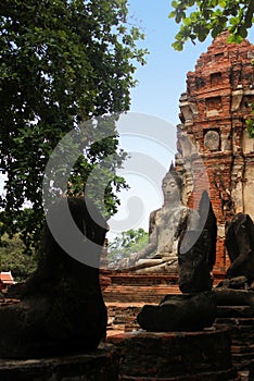 Some Buddha sculptures in the ruins of the historic royal temple Wat Phra Sri Sanphet. Ayutthaya, Thailand.