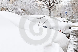 Some cars covered with snow after a storm