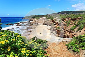 Some of the caves at Caves Beach NSW Austraia