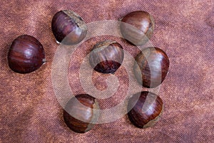 Some Chestnuts on Brown Cloth Background with Leaves and raw Sh