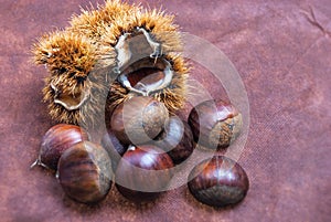 Some Chestnuts on Brown Cloth Background with Leaves and raw Sh