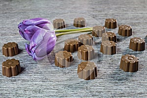 Some chocolates still life