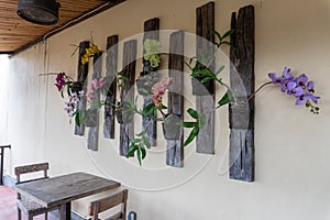 Some colorful orchid flowers and types of wall decorations in a restaurant in Ubud, Bali