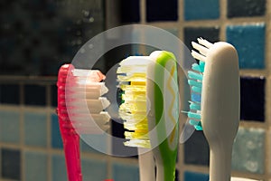 Some colorful family toothbrushes