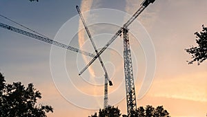 Some cranes against a sunset Sky crossed by plane trails.