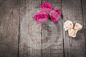 Some cream and pink roses on wooden background