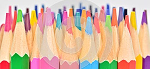 Detail of colored pencil tips photo