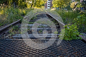 Some disused railway tracks are overgrown with plants