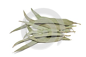 Some dried eucalyptus leaves
