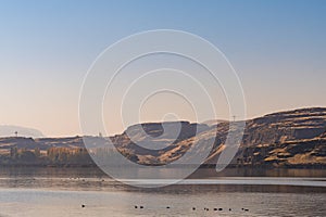 Some ducks and the Washington state side of the Columbia River that borders the state of Oregon