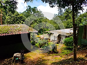Some easy houses on a travel tour through mountains hill jungle forest aboriginal north chiang mai thailand asia