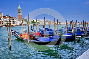 Gondolas in Venice with Piazza San Marcos in the background photo