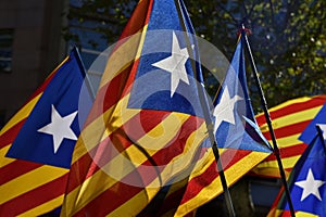 Some estelada, the catalan pro-independence flag photo
