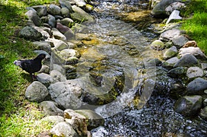 Some events on the shore of river