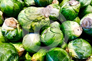 some examples of colorful Brussels sprouts vegetables in a box