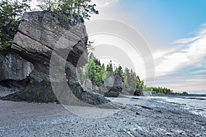 The Hopewell Rocks, Bay of Fundy