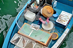 Floating Seafood MarketSai Kung Public Pier