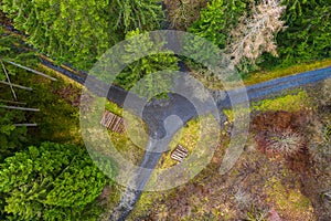 Forest paths and wood stacks from above