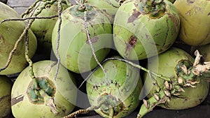 some fresh green young coconuts?