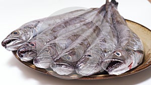 Some fresh young hakes