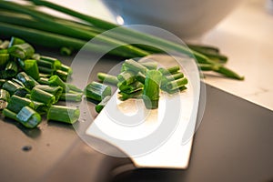 Some freshly cut green onions on a black cutting board with knife with black handle