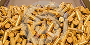 Some golden ammunition inside a container close up