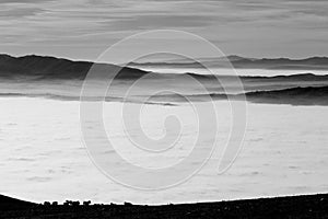 Some horses pasturing on top of a mountain over a sea of fog filling a valley, with some distant and misty mountains on