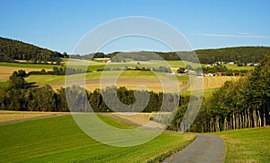 Some idyllic farms and houses in Bavaria, surrounded by cornfields and forest