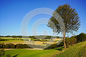 Some idyllic farms and houses in Bavaria, surrounded by cornfields and forest