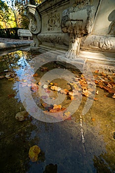 Some leaves floating in the transparent water of a fountain. autumn landscape