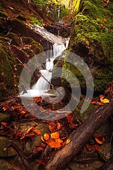 Some little falls in the forest in `Bosco della Morricana`, Ceppo, Abruzzo, Italy